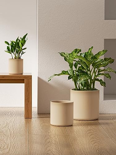 LE TAUCI 10+8+6 Inch Ceramic Pots for Plants, Indoor Planters with Drainage Hole and Plug, Modern Cylinder Flower Pots Set of 3 for Living Room and Bedroom, Glossy, Sand Beige - color: Sand Beige