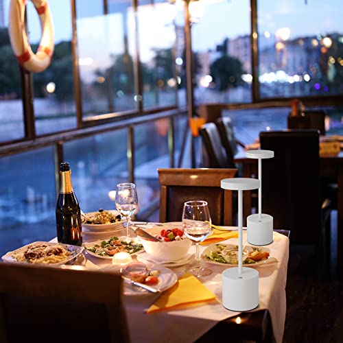 TBBGA LED Cordless Table Lamps Set of 2, 5000mAh Rechargeable Table Light - color: White2