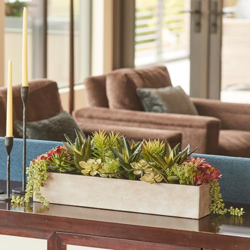 CG Hunter, Oblong Faux Succulent Arrangement, 27 in, Natural, Home Decor - size: 27" Oblong Natural