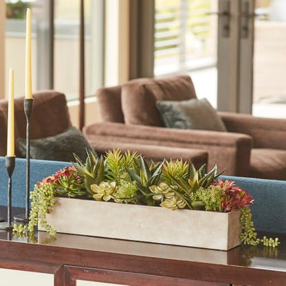 CG Hunter, Oblong Faux Succulent Arrangement, 27 in, Natural, Home Decor - size: 27" Oblong Natural