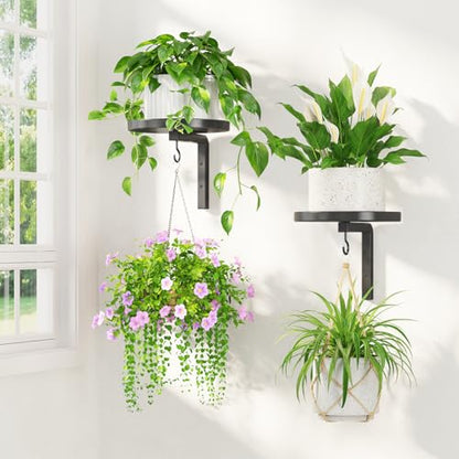 LASZOLA Plant Hanger Holder Window Shelf Wall Mounted Indoor, 2 Pcs Black - color: Black, size: 2