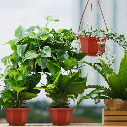 Roshtia 24 Pcs Hanging Planter Pot with Hook, Brown, 3.7 Inch - color: Brown, size: 3.7 Inch