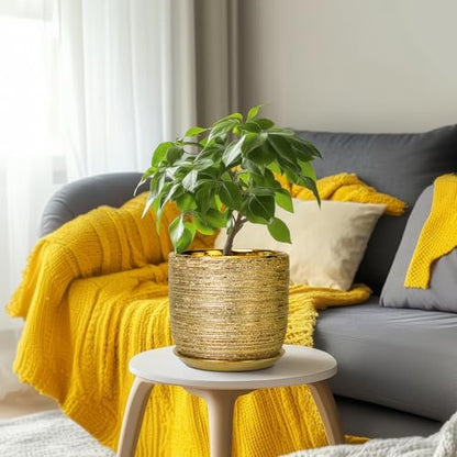 8 Inch Plant Pot, Ceramic Planter with Drainage and Saucer, Gold - color: Gold, size: 8 Inch