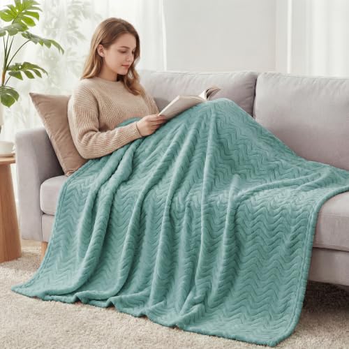 Exclusivo Mezcla Soft Fleece Blanket Twin Size for Bed, Sofa, Celadon - color: Celadon, size: Twin ( 90x66 IN )