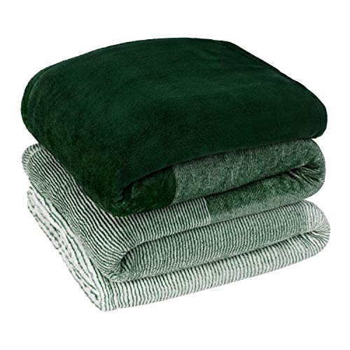 PAVILIA Green Ombre Fleece Throw Blanket for Couch Sofa Bed, 50x60 - color: Gradient - Green, size: 50 x 60 Inches - Throw