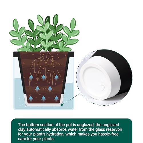 D'vine Dev Self-Watering Black Terracotta Planter Pot, 4 in, 37-X-A-3 - color: Black, size: 4 Inch