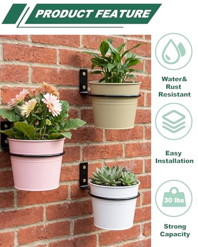 vensovo 6 Pack 6 Inch Metal Wall Planter Rings with Mounting Hooks - size: 6 Inch