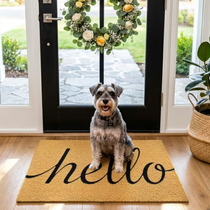 Front Door Mat Outside Non-Slip Welcome Doormat (Hello, 17x29 in) - color: Hello