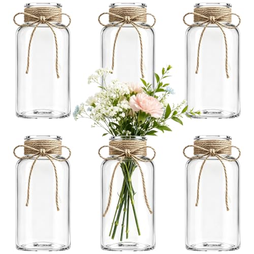 Mason Jar Glass Vases 6 Pack, Clear Flower Vase for Centerpieces - color: Transparent