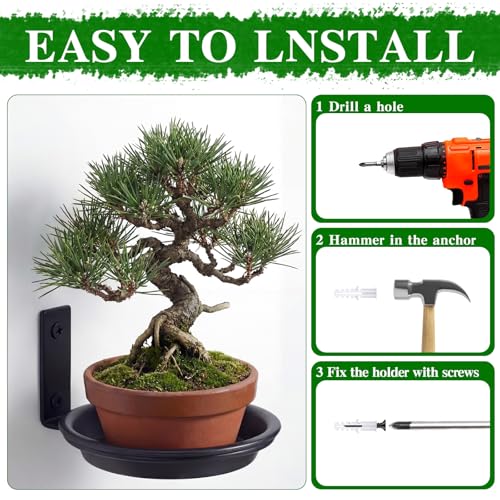 6 Pack 6'' Wall Mount Plant Holder with 8 Replaceable Trays, Black - size: 6 Inch