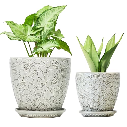 8 Inch + 6 Inch Retro Ceramic Planter Set of 2 with Drainage Hole and Saucer for Multiple Plants, Indoor-Outdoor Garden Pots for Succulent, Orchid, and Flower (Retro White) - color: Retro White, size: 8Inches+6Inches