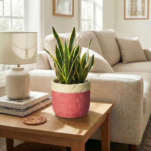 Ceramic Pots for Plants, 8 Inch Planter, Round Plant Pot, Red - color: Red, size: 8 Inch