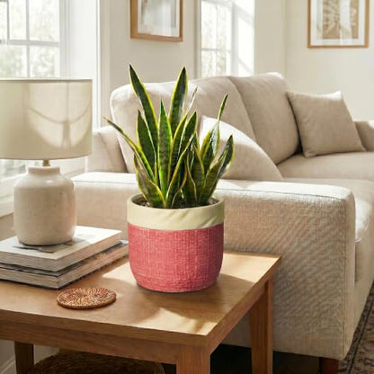 Ceramic Pots for Plants, 8 Inch Planter, Round Plant Pot, Red - color: Red, size: 8 Inch