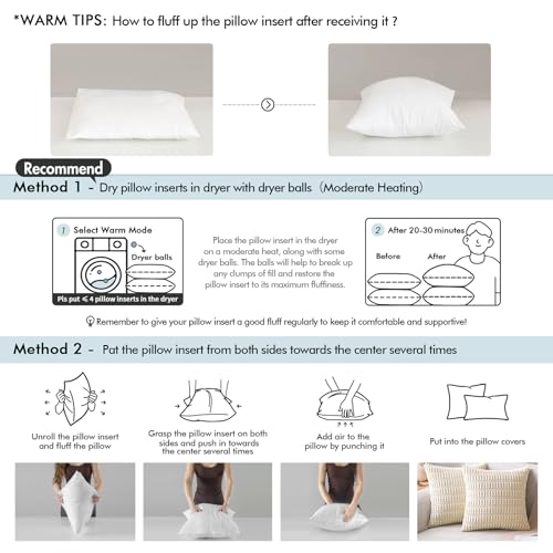 MIULEE Set of 2 Throw Pillow Inserts 20x20 Inches, 100% Virgin Filling Nonwoven Pillow Inserts for Couch Sofa Living Room (Pack of 2) - size: 20x20 (Pack of 2)
