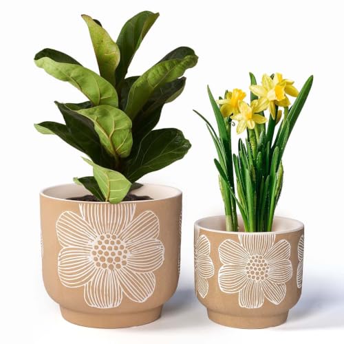 Ceramic Plant Pots, 8+6 Inch, 2 Pcs Indoor Planters with Drainage Holes - color: Modern Tan Floral, size: 8+6 Inch