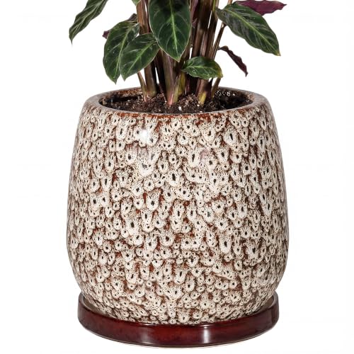 10.3 Inch Ceramic Glaze Plant Pot with Saucer, Flower Pots with Drainage Hole Mesh Net (Spot White) - color: Spot White