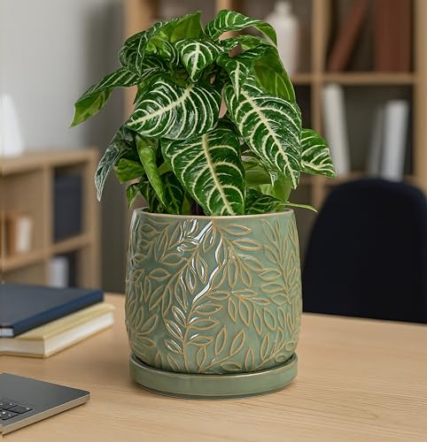 D'vine Dev Embossed Leaves Ceramic Planter, 6 in, Olive, 27-A-X-0 - color: Olive, size: 6 Inch