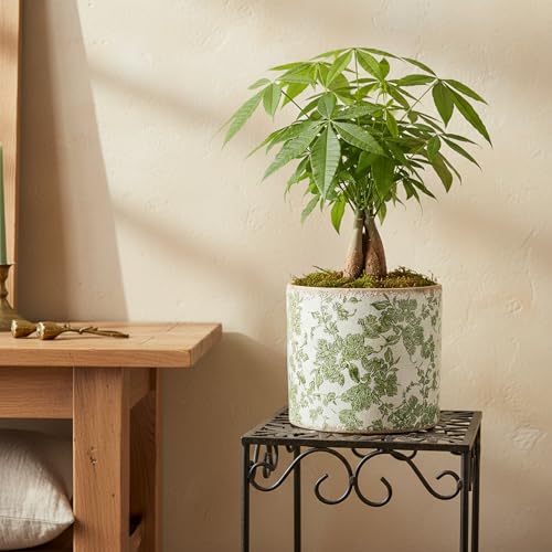 Xiaan Jiaju 7.7" Large Green Plant Pots, French Country Ceramic Flower Pots - color: Distressed Sage, size: Large - Drain Holes