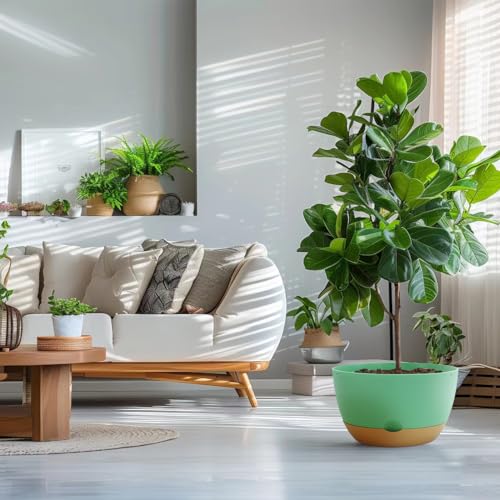 Koalaime 8/10/12 Inch Pots for Indoor Plants, Large Self Watering Planters with Drainage and Saucers, Plastic Outdoor Flower Pot, Set of 3, Green - color: Green