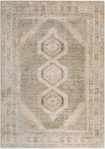 Hauteloom Yiwep Hallway, Kitchen Runner Rug - Bohemian Transitional - Taupe, Olive, Medium Brown - 2'6" x 7'3" - color: Taupe, Olive, Medium Brown / Elinor, size: 2'6" x 7'3" (Runner)