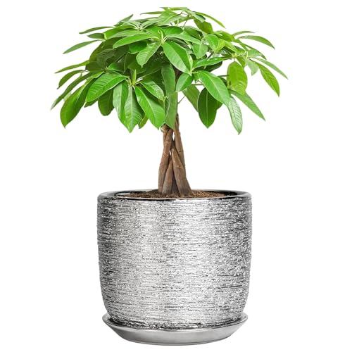 Ceramic Flower Pot, 7 Inch Ceramic Plant Pot, Silver - color: Silver, size: 7 Inch