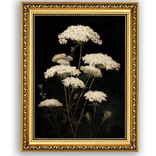 Vintage Botanical Framed Wall Art, Moody White Queen Anne's Lace Canvas Print, Antique Gold Floral Wall Decor, Rustic Cottagecore Artwork for Living Room Bedroom Bathroom - color: Queen-Anne's Lace, size: 12*16