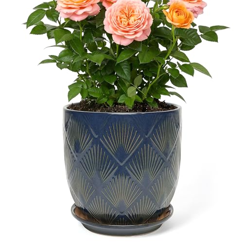7.2 Inch Modern Ceramic Glaze Plant Pot with Drainage Hole,Mesh Net,Saucer,Indoor Outdoor Planter(Fan-Blue) - color: Fan-blue