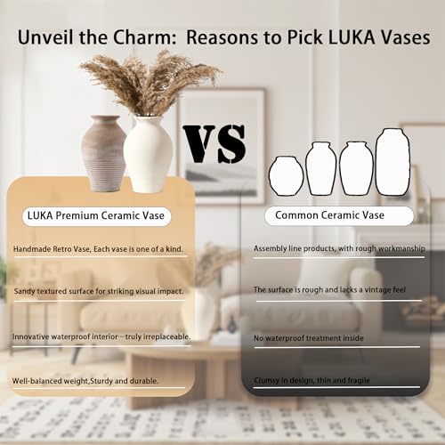 Ceramic Rustic Farmhouse Vase, 9.2 inch Whitewashed Terracotta Vase - color: Terracotta White