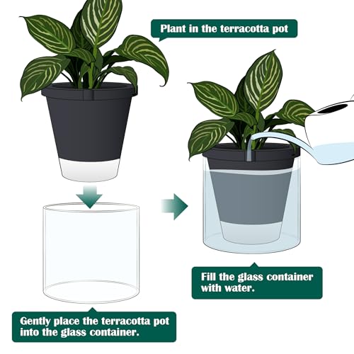 D'vine Dev Self-Watering Black Terracotta Planter Pot, 10 in, 37-X-D-3 - color: Black, size: 10 Inch