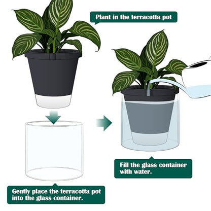 D'vine Dev Self-Watering Black Terracotta Planter Pot, 10 in, 37-X-D-3 - color: Black, size: 10 Inch