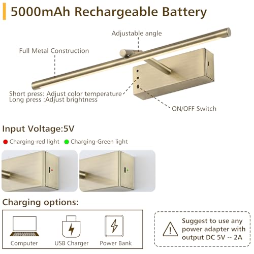 Bronze Picture Light for Wall, Battery Operated LED Wall Sconce - color: Bronze