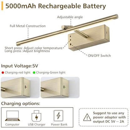Bronze Picture Light for Wall, Battery Operated LED Wall Sconce - color: Bronze