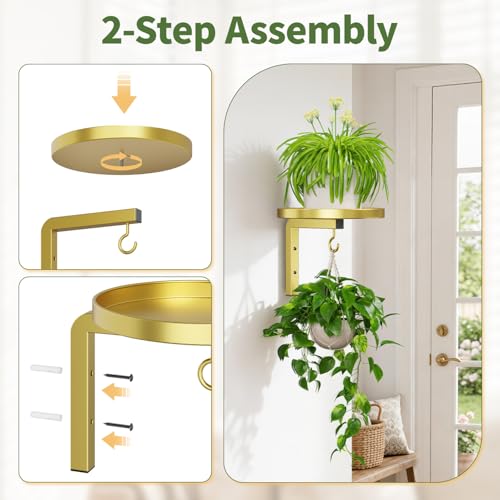 LASZOLA Plant Hanger Holder Window Shelf Wall Mounted Indoor, 2 Pcs Gold - color: Gold, size: 2