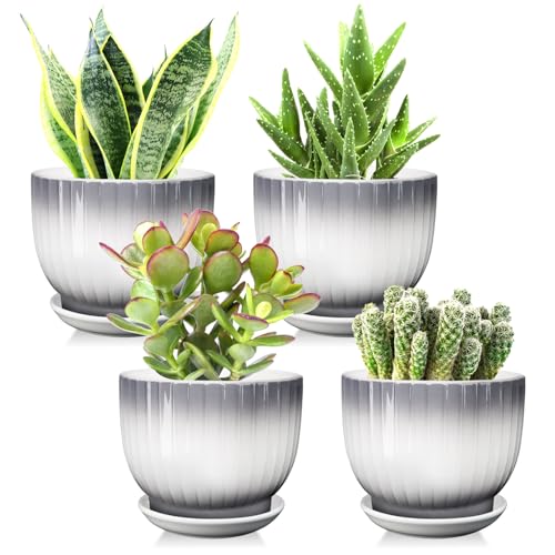 Ceramic Plant Pots, 5.5 Inch, Gray+White, Set of 4 - color: Gray + White, size: 5.5 Inch(4 PCS)