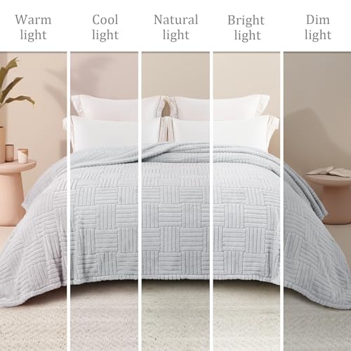 Whale Flotilla Lightweight Fleece Throw Blanket for Couch, Light Grey - color: Light Grey, size: Throw(50x60 Inch)