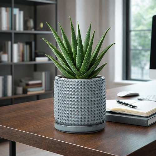 D'vine Dev Beaded Ceramic Pot with Saucer, 6 in, Graphite Blue, 27-C-X-9 - color: Graphite Blue, size: 5.8 Inch