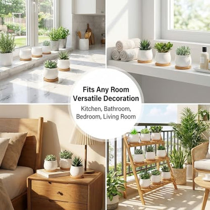 SHECIPIN Succulent Plant Pot, White Mini 2.6 inch Ceramic Flower Planter Pot with Bamboo Tray, Pack of 8 - Plants Not Included - color: White