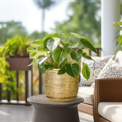 8 Inch Plant Pot, Ceramic Planter with Drainage and Saucer, Gold - color: Gold, size: 8 Inch