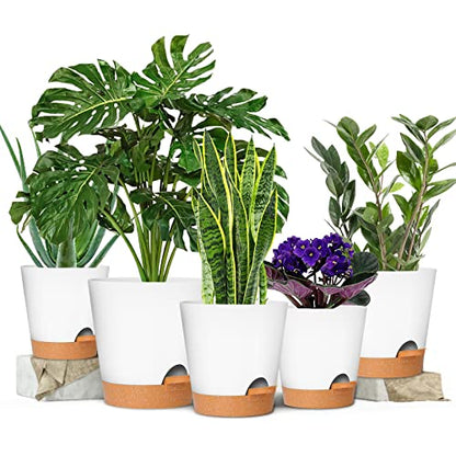 GARDIFE Plant Pots 7/6.5/6/5.5/5 Inch Self Watering Planters with Drainage Hole, Plastic Flower Pots, Nursery Planting Pot for All House Plants, African Violet, Flowers, and Cactus,White - color: 7-white, size: 7+6.5+6+5.5+5 inch