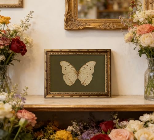 Vintage Gold Framed Wall Art Retro White Butterfly Canvas Print Dark Green Olive Insect Painting Picture Rustic Farmhouse Moth Cottagecore Poster Artwork for Living Room Bedroom - color: Green Butterfly, size: 11"L x 9"W