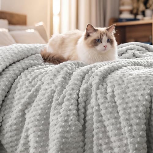 PHF Soft Cozy Fleece Throw Blanket, 340GSM Lightweight Warmth, Light Grey - color: Light Grey, size: Throw(50"x60")