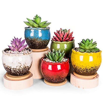Succulent Pots, 4 Inch Small Plant Pots with Drainage Tray Set of 6 - color: Blue/Green/Red/White/Yellow/Light Blue - 4 Inch