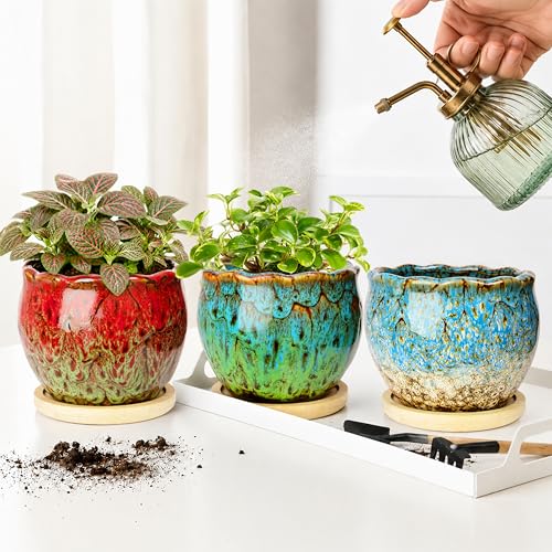 ARTKETTY Succulent Pots, 4 Inch Plant Pots with Drainage Tray - color: 4'' Colorful 1