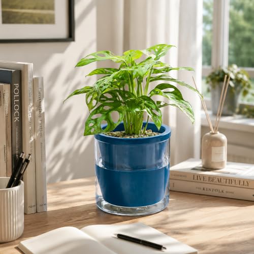 D'vine Dev Self-Watering Blue Terracotta Planter Pot, 6 in, 37-X-B-4 - color: Blue, size: 6 Inch
