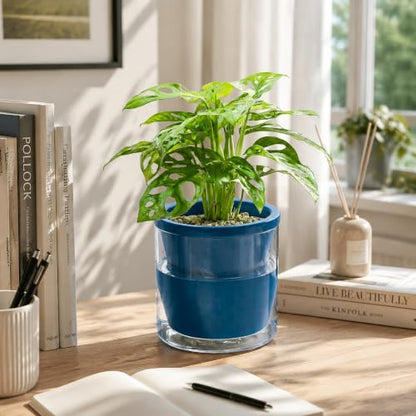 D'vine Dev Self-Watering Blue Terracotta Planter Pot, 6 in, 37-X-B-4 - color: Blue, size: 6 Inch