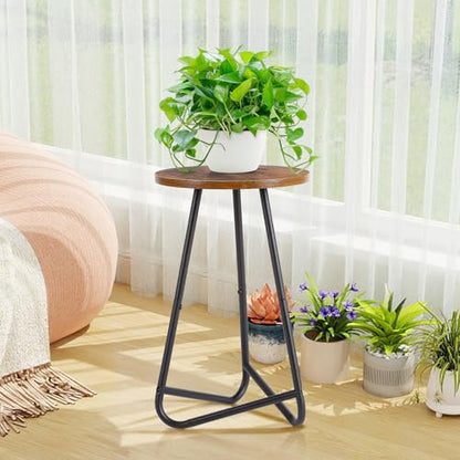 Plant Stand Indoor,Small Plant Table,Metal Display Rack,Brown,20 In - color: Brown, size: 20 In