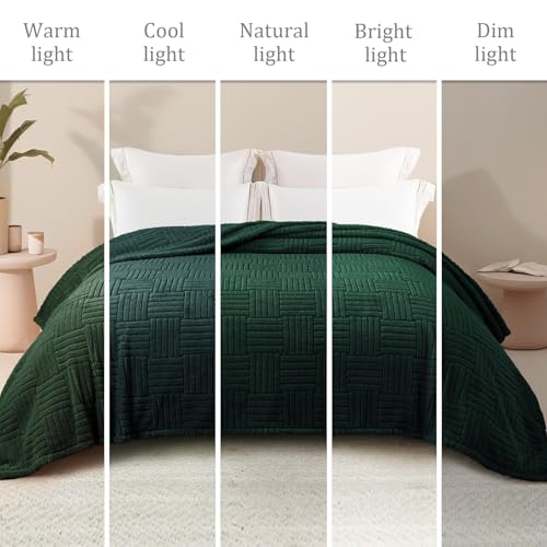 Whale Flotilla Lightweight Fleece King Size Blanket for Bed, Emerald Green - color: Emerald Green, size: King(90x104 Inch)