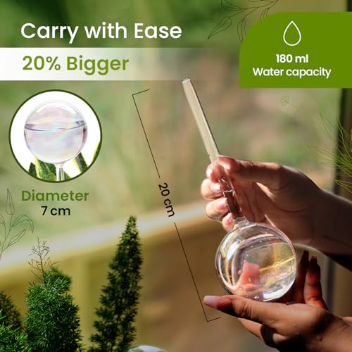 Iridescent Self Watering Globes, Glass Rainbow Plant Watering Globes, Self Watering Planter Insert, Automatic Plant Waterer Indoor (Medium-2 Pcs Iridescent, Medium) - color: Medium - 2 Pcs (Pack of 1)