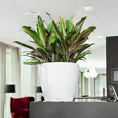 Lechuza Classico Premium LS 28 Silver Metallic 16048 - color: Silver Metallic, size: D28 H26 cm