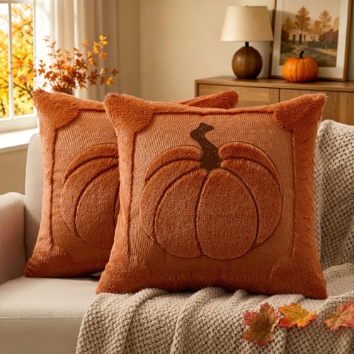 Allorry Fall Pillow Covers 18x18 2 Pack Rust Plush Pumpkin Home Decor 010F - color: Rust Pumpkin, size: 18" x 18" (Pack of 2)